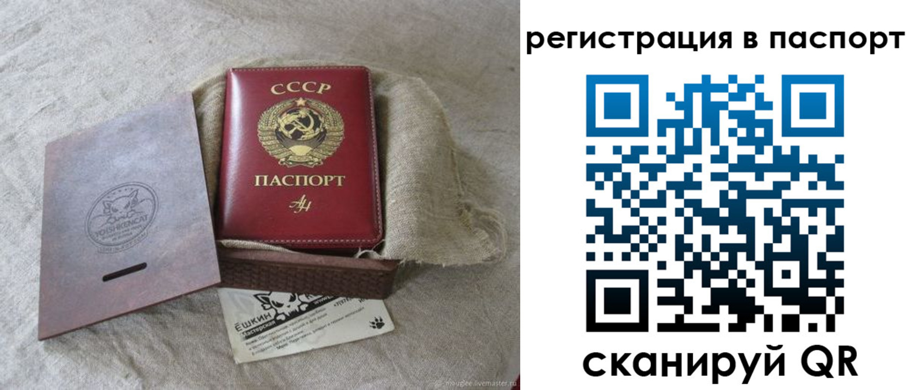 где прописаться в Боготоле